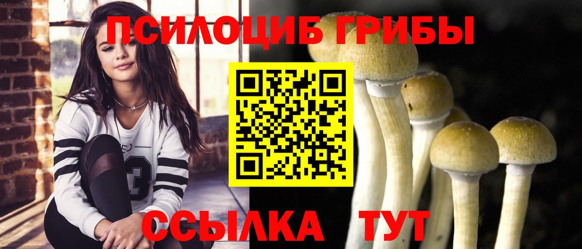 Псилоцибиновые грибы GOLDEN TEACHER Бор